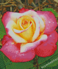 Aesthetic Yellow And Pink Roses Diamond Painting