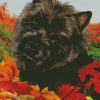 Aesthetic Black Cairn Terrier Art Diamond Painting