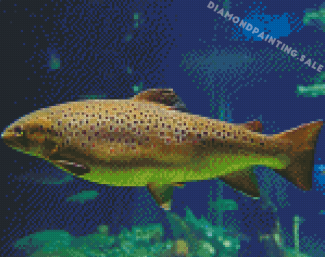 Aesthetic Brown Trout Diamond Painting