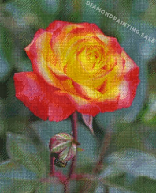 Beautiful Yellow And Pink Roses Diamond Painting
