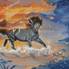 Grey Horse In Water Art Diamond Painting
