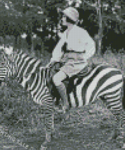 Old Women Riding Zebra Diamond Painting
