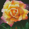 Peace Roses Flower Art Diamond Painting