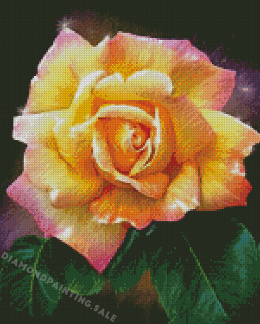 Peace Roses Flower Art Diamond Painting