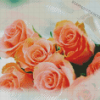 Peach Roses Bouquet Diamond Painting