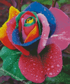 Rainbow Rose And Waterdrop Diamond Painting
