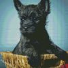 Black Cairn Terrier In Basket Diamond Painting