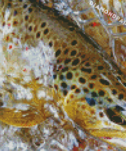 Brown Trout Fish In Water Diamond Painting