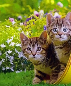 Two Kitties In Garden Diamond Painting