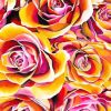 Yellow And Pink Roses Art Diamond Painting
