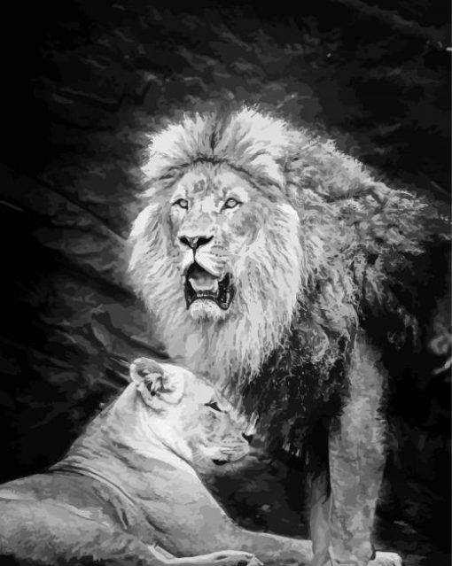 Black And White Two Lion And Lioness Diamond Painting