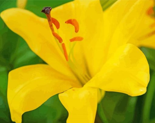 Close Up Yellow Lily Diamond Painting