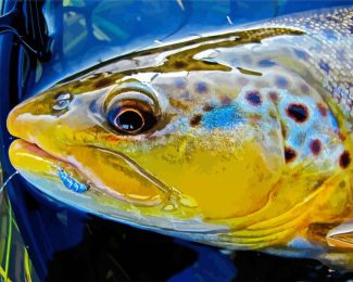 Close Up Brown Trout Fish Diamond Painting