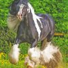 Cob Horse Animal Diamond Painting