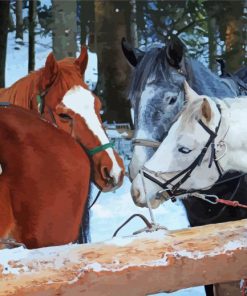 Cob Horses Animal Diamond Painting