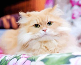Cute Persian Cat Diamond Painting