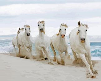 Five Horses On Beach Diamond Painting