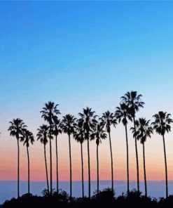 Palm Trees In California Diamond Painting
