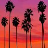 Palm Trees In California Sunset Silhouette Diamond Painting