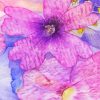 Pink Abstract Flowers Diamond Painting