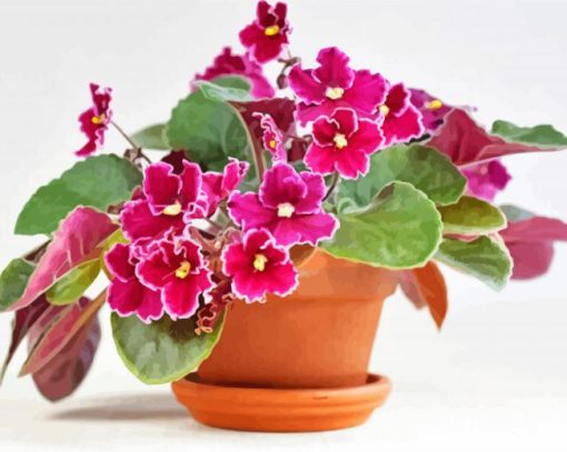 Pink African Violets Diamond Painting