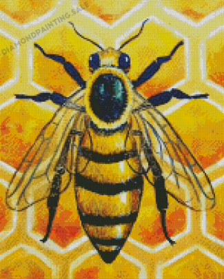 Honeycomb Illustration Diamond Painting