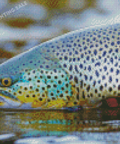 Brown Trout Fish Diamond Painting