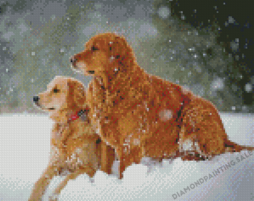 Brown Winter Dog Diamond Painting