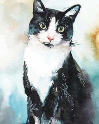 Bicolor Cat Art Diamond Painting