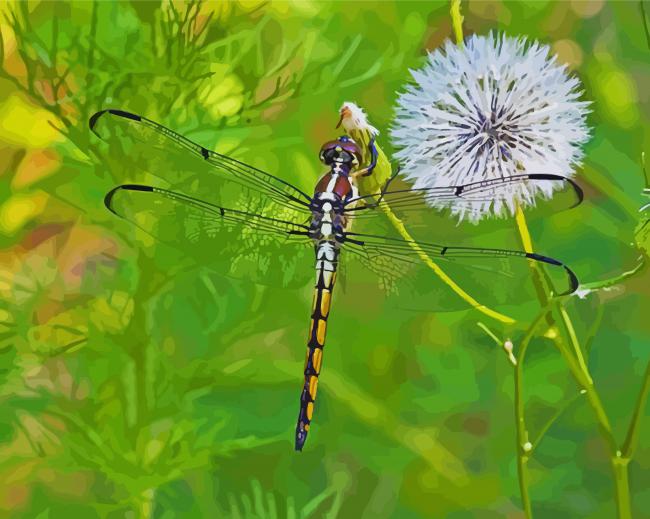 Dragonfly Insect And Dandelion Diamond Painting