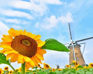 Dutch Windmill And Sunflower Diamond Painting
