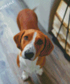 Drever Dog Animal Diamond Painting