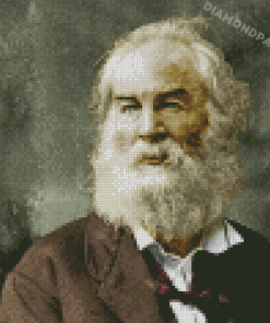 Walt Whitman Poet Diamond Painting