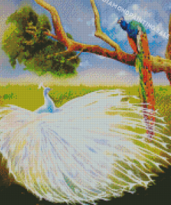 White Peacock And Colorful Peacock Diamond Painting