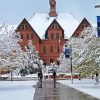 Montana State University In Winter Diamond Painting