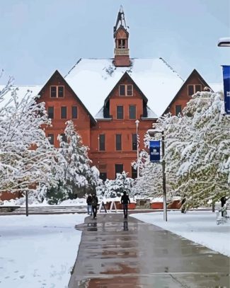 Montana State University In Winter Diamond Painting