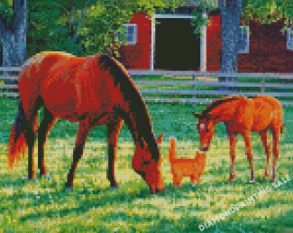 Cat And Horses Animals Diamond Painting