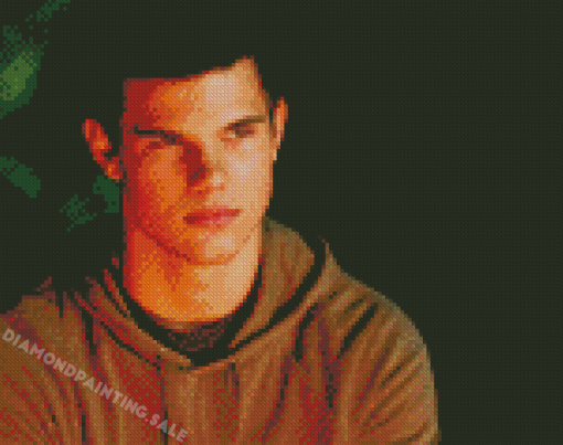 Jacob Black Twilight Character Diamond Painting