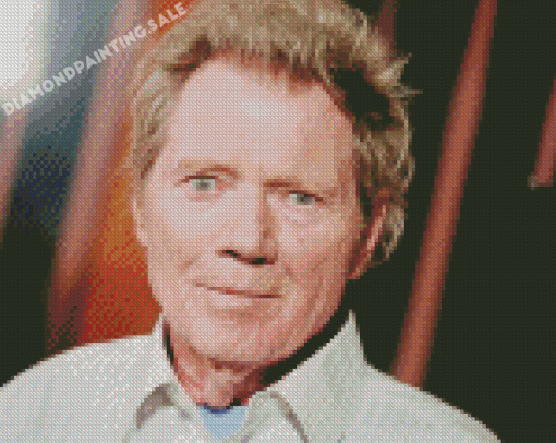 Michael Parks Actor Diamond Painting