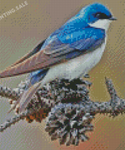 Swallow Bird Diamond Painting