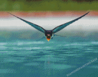 Swallow Bird Flying Diamond Painting