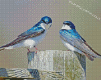 Swallow Birds Diamond Painting