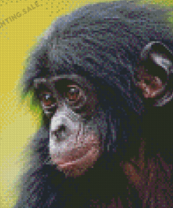 Cute Baby Bonobo Diamond Painting