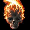 Skeleton Head On Fire Diamond Painting