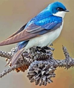 Swallow Bird Diamond Painting