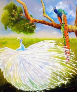 White Peacock And Colorful Peacock Diamond Painting