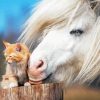 Adorable Cat And Horse Diamond Painting