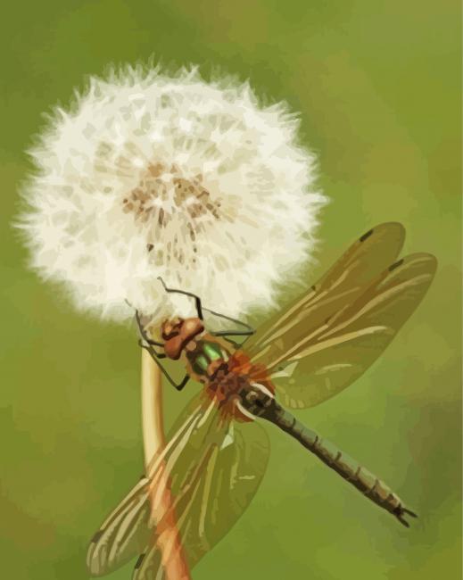 Aesthetic Dragonfly And Dandelion Diamond Painting