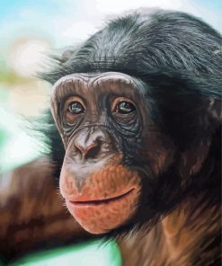 Bonobo Monkey Art Diamond Painting