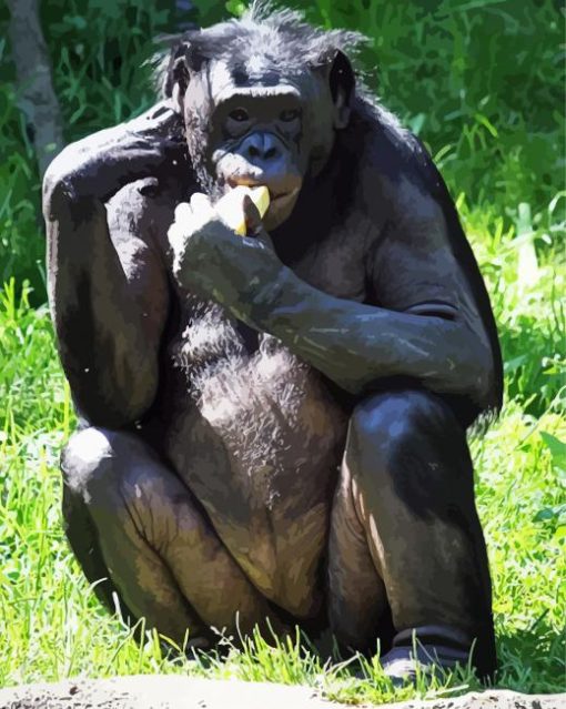Bonobo Monkey Diamond Painting